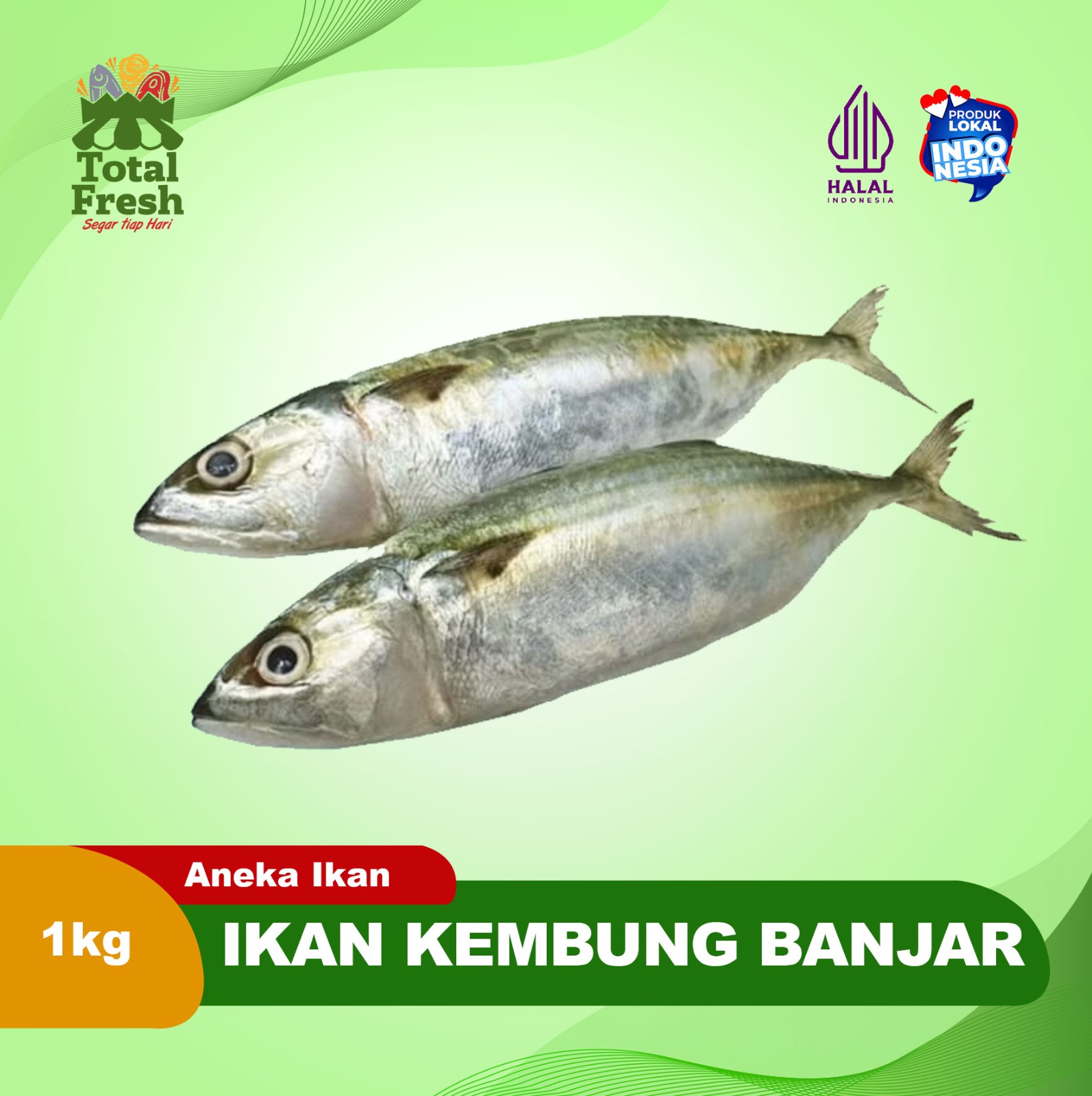 Ikan Kembung Banjar