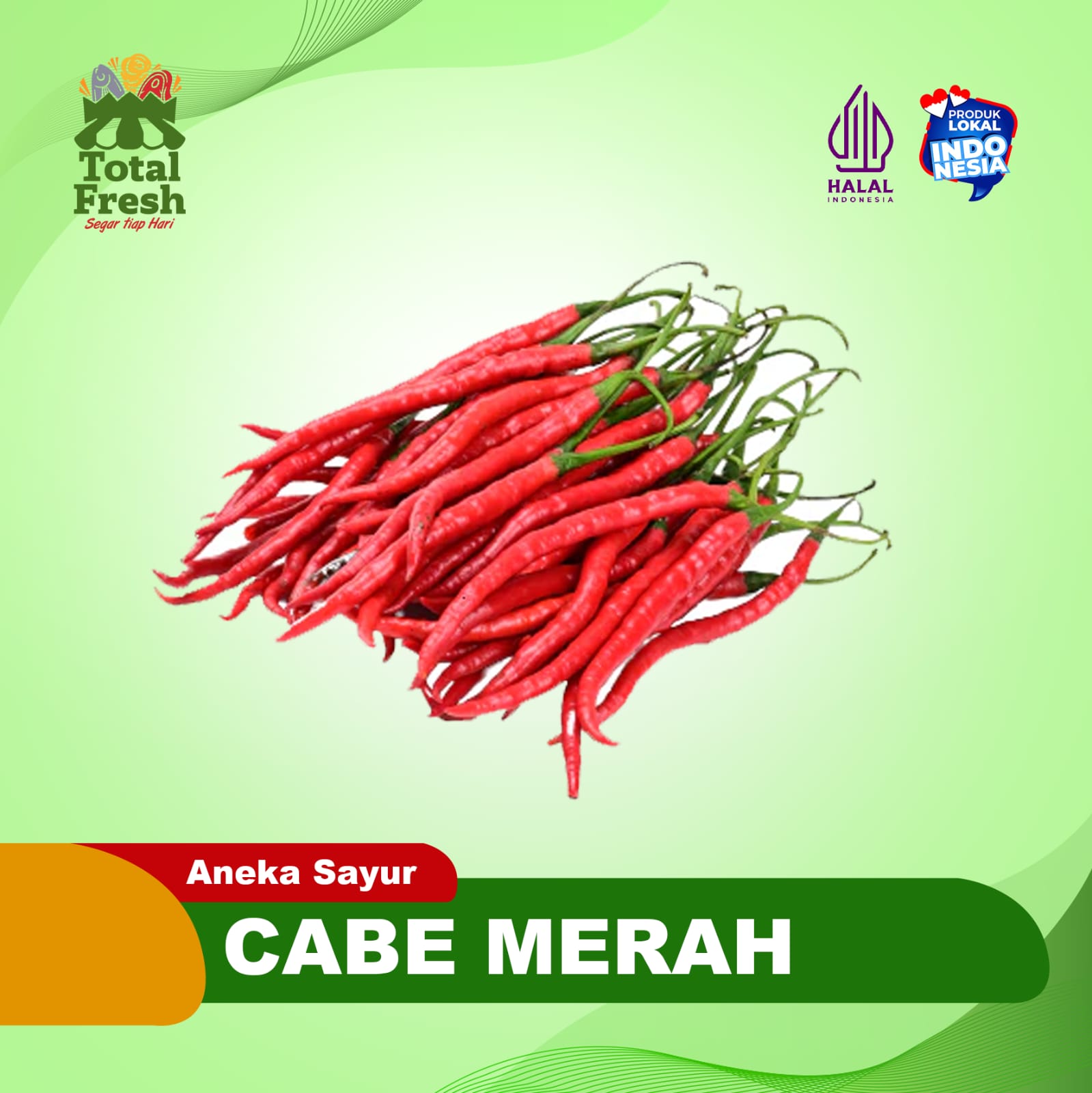 Cabe Merah Keriting