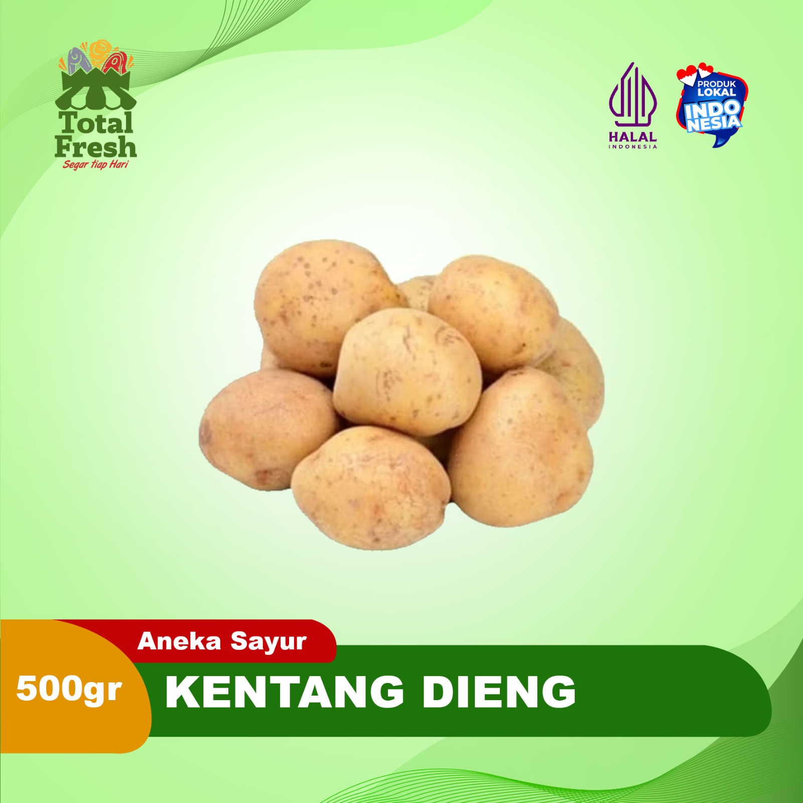 Kentang Dieng Segar