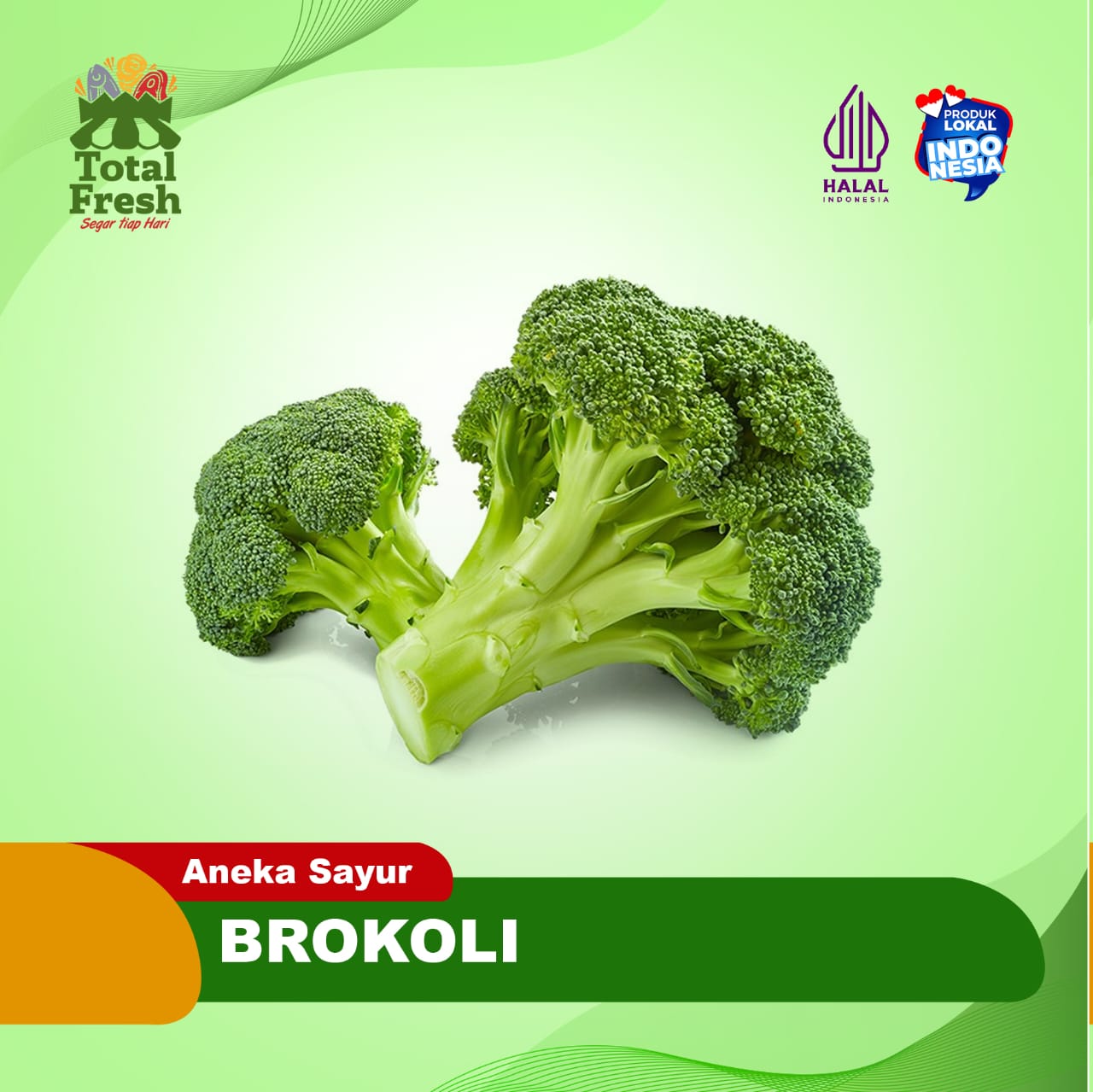 Brokoli Segar