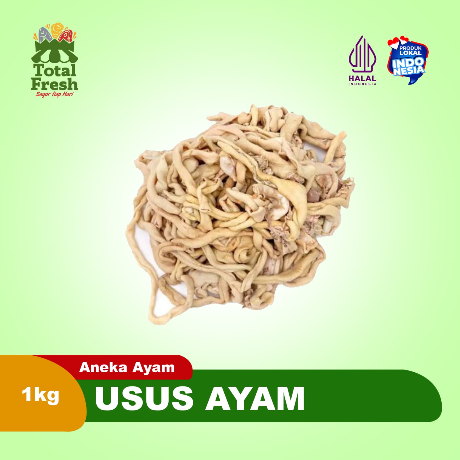 Usus Ayam