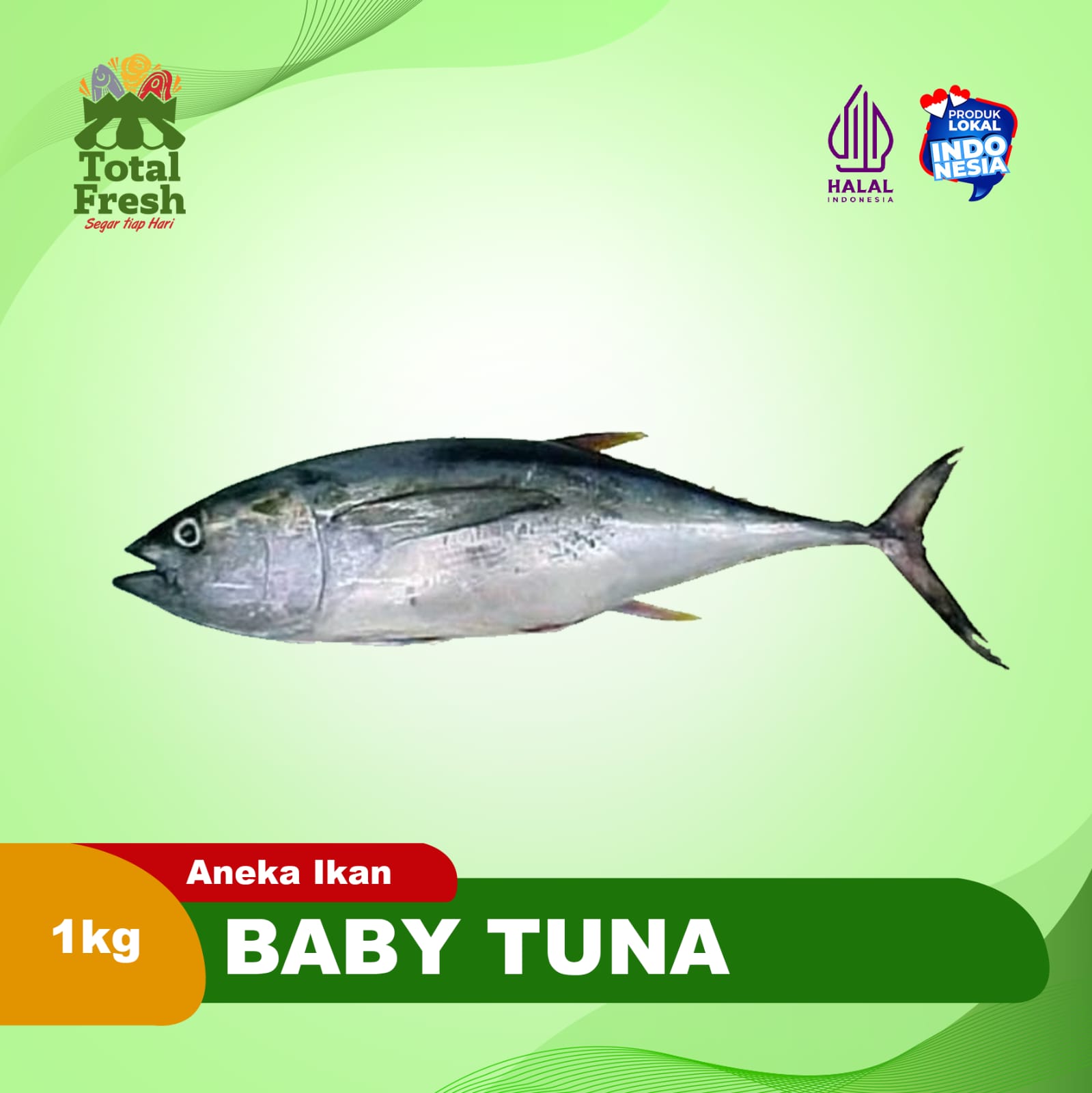 Baby Tuna