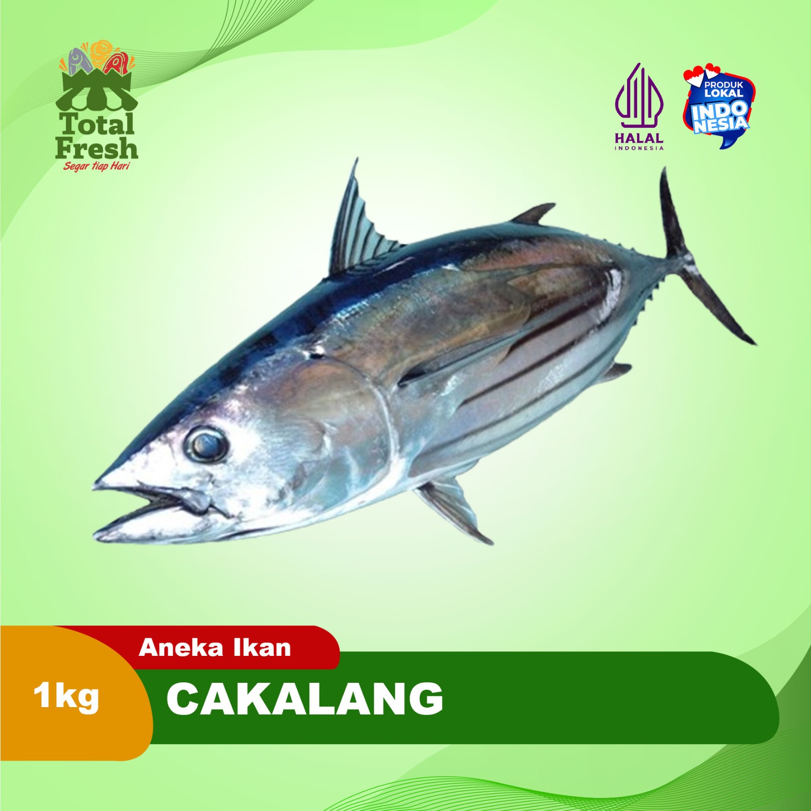 Cakalang