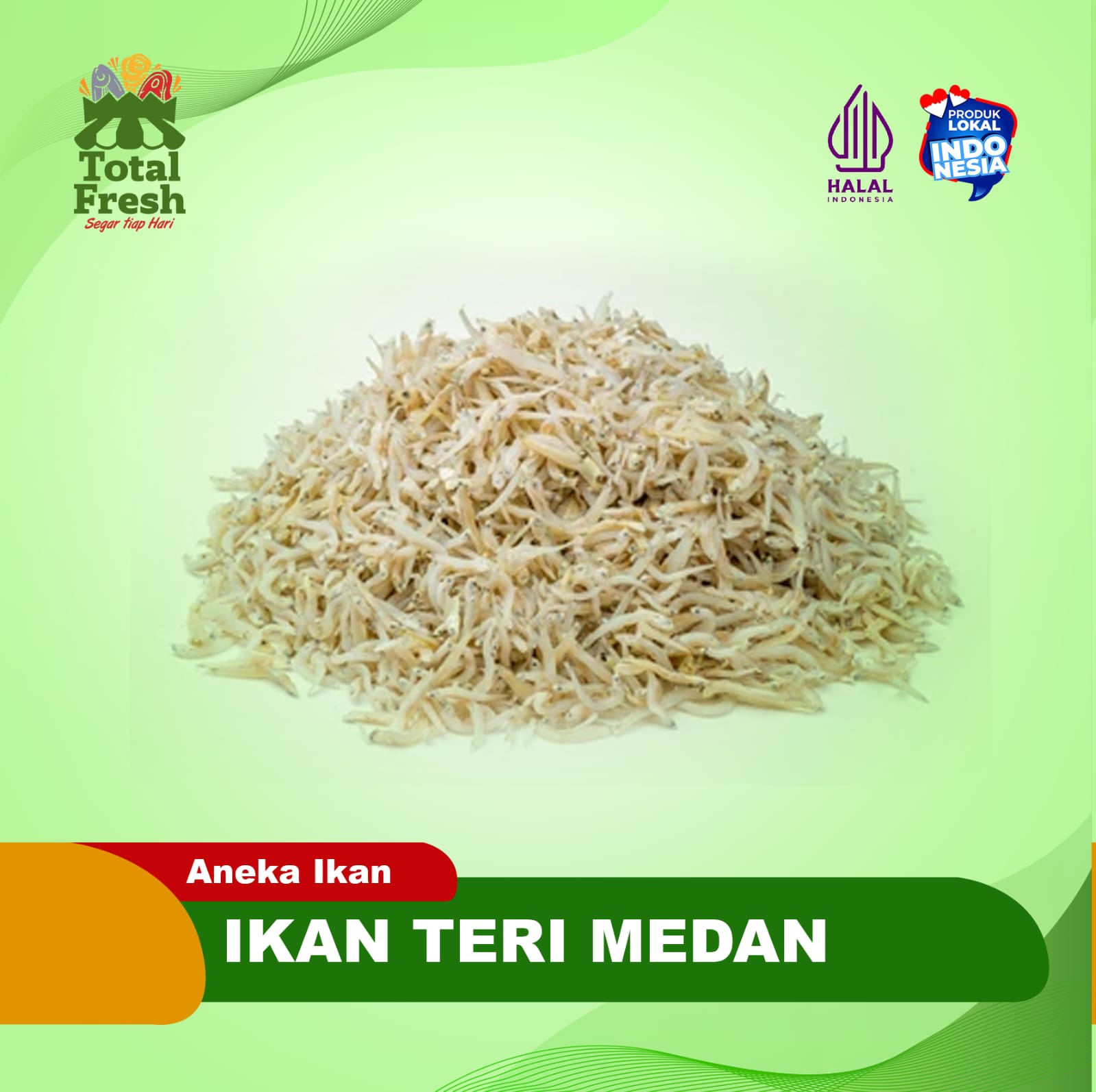 Ikan Teri Medan