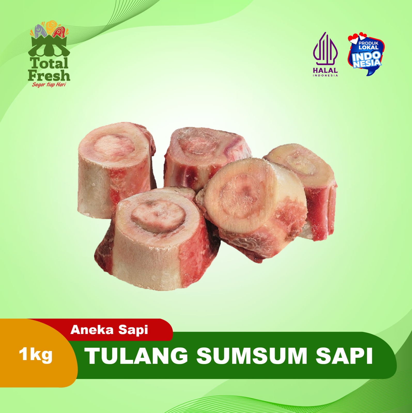 Tulang Sumsum Sapi