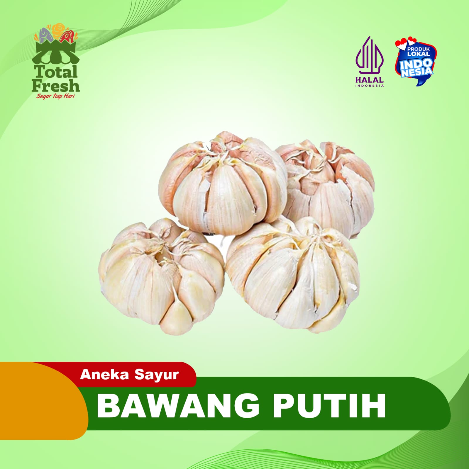 Bawang Putih
