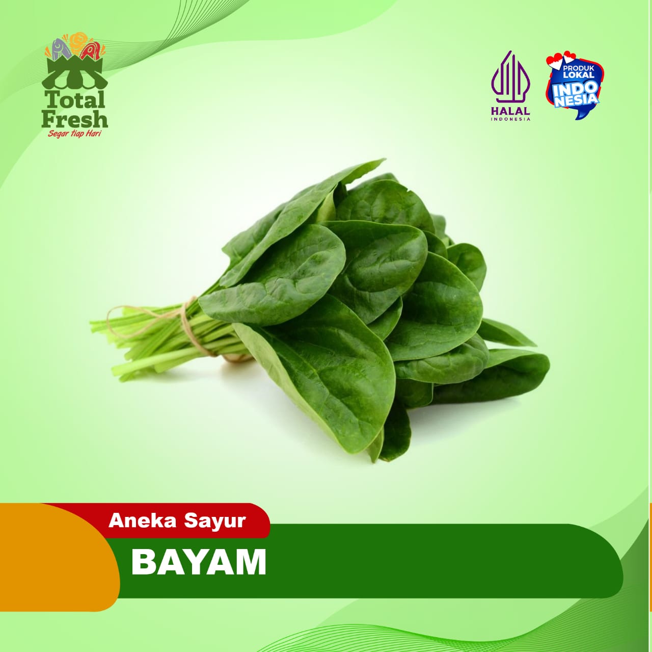 Bayam