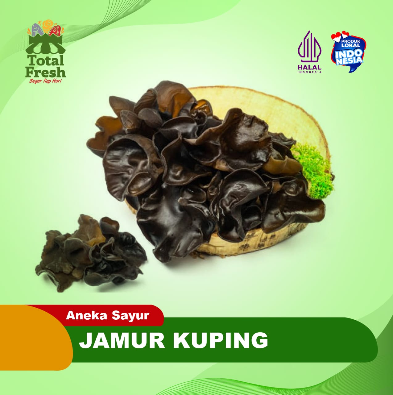 Jamur Kuping