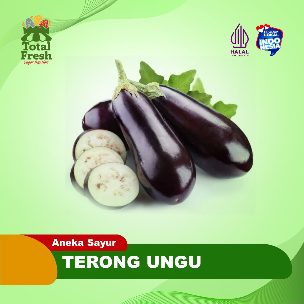 Terong Ungu