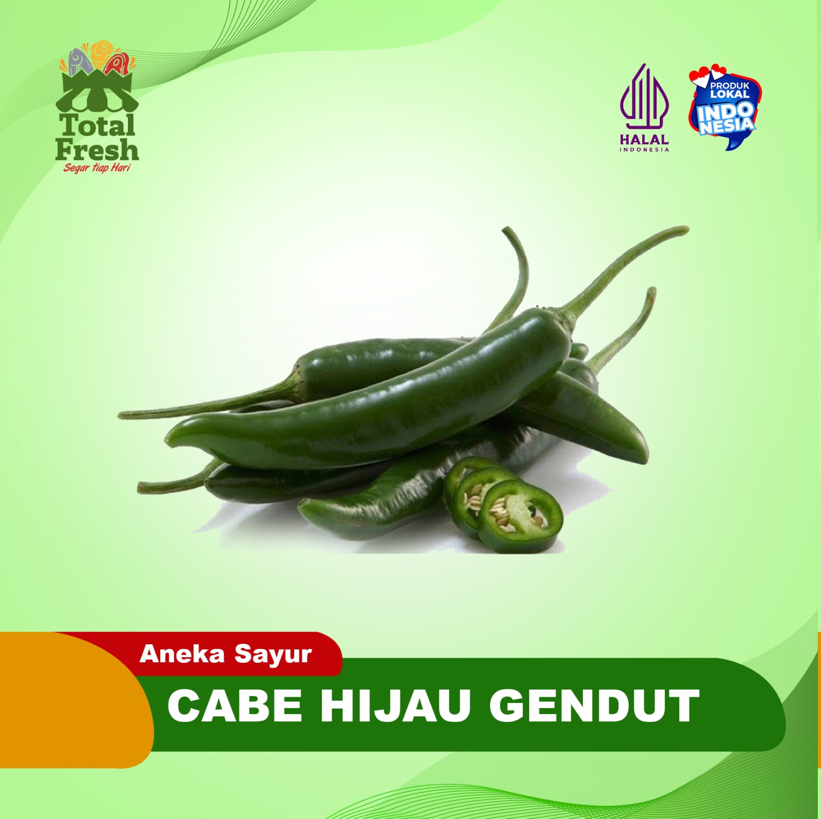 Cabe Hijau Gendut // Cabe ijo gendut // cabai hijau besar