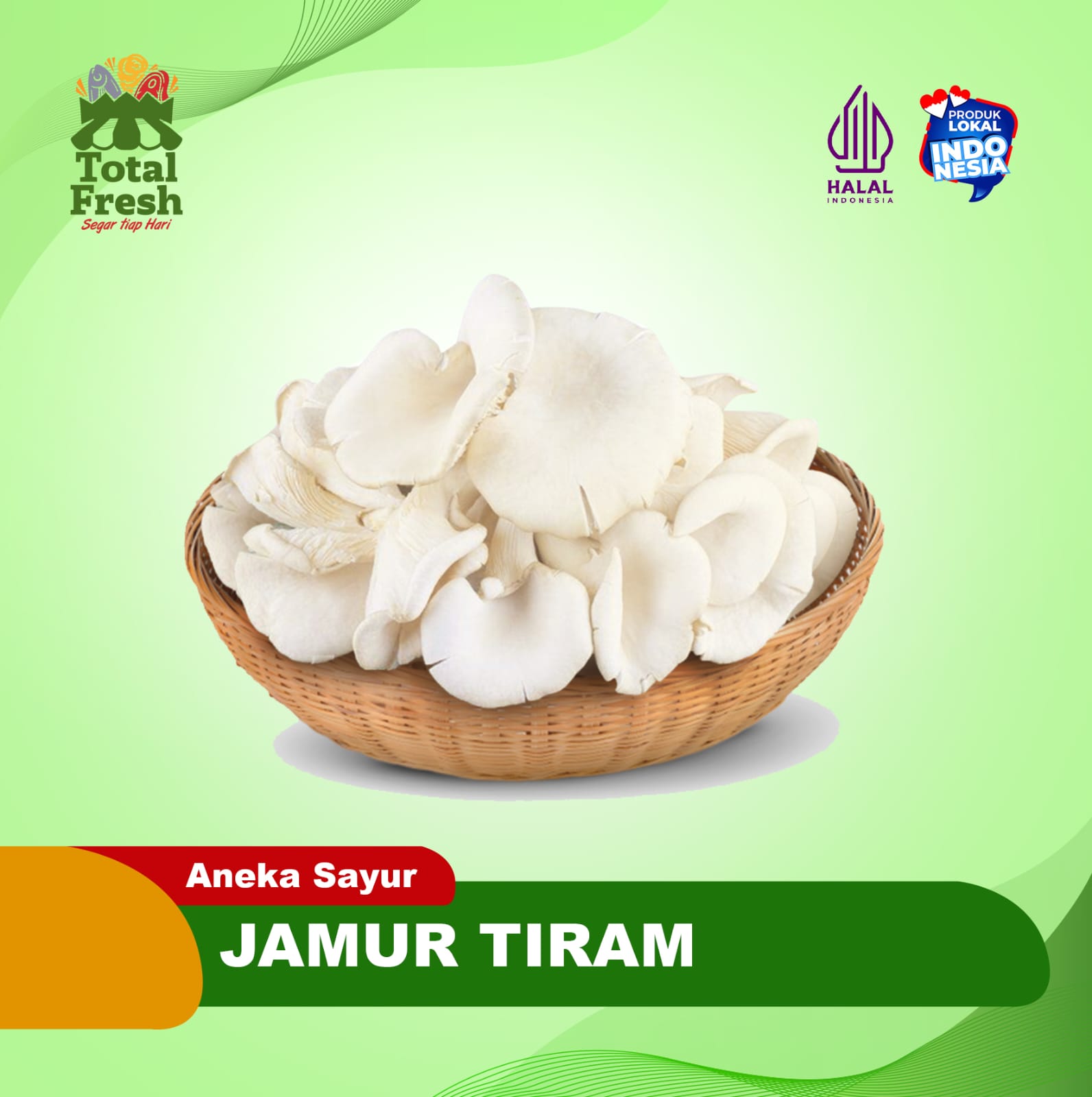 Jamur Tiram