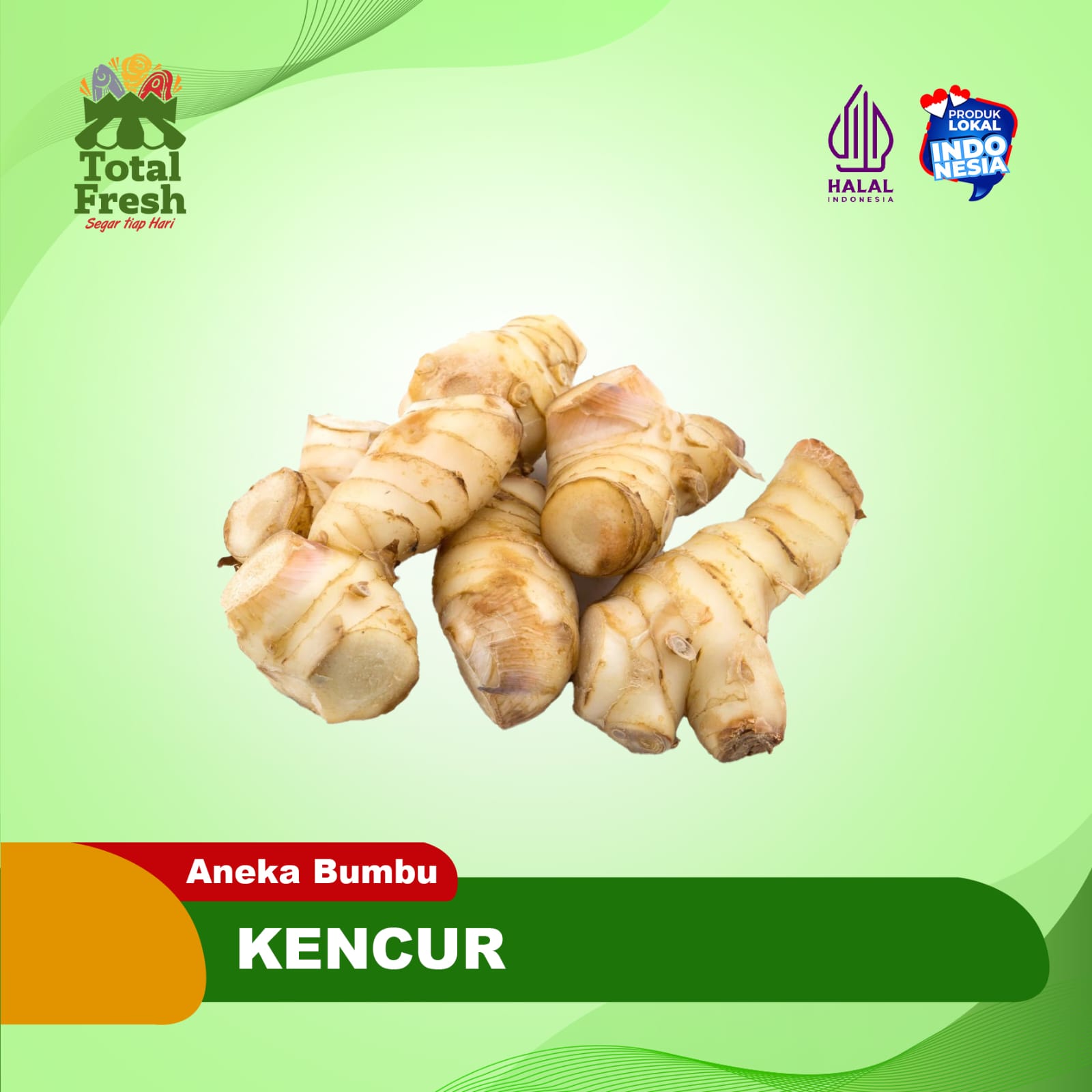 Kencur Segar 1 kg